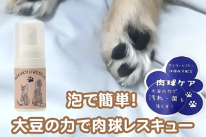 愛犬・愛猫の肉球ケアが簡単に！大豆の力で優しく守る肉球レスキュー