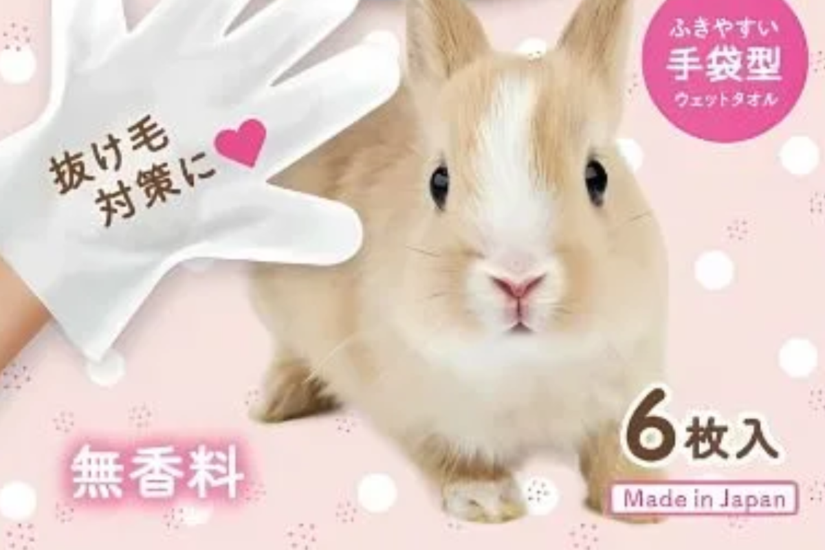 うさぎのケアが簡単に！手袋型ウェットシートでスムーズなお手入れを